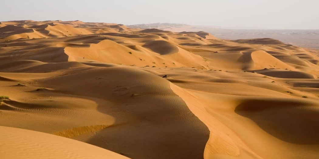 Desert of Egypt