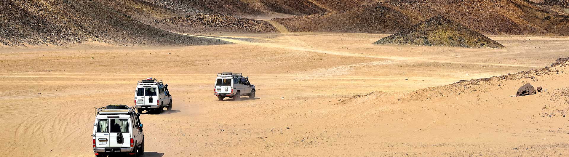 Safari tours in Egypt