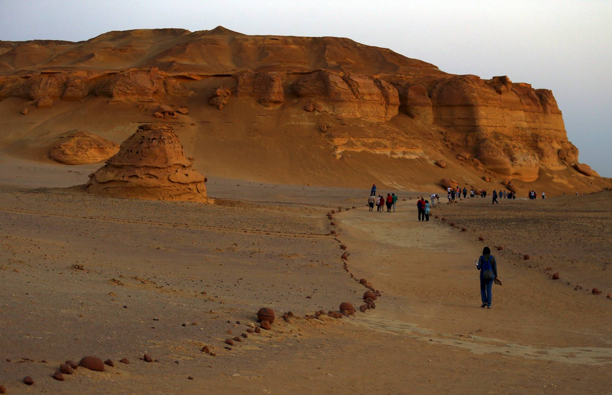 Fayoum Oasis day tour from Cairo