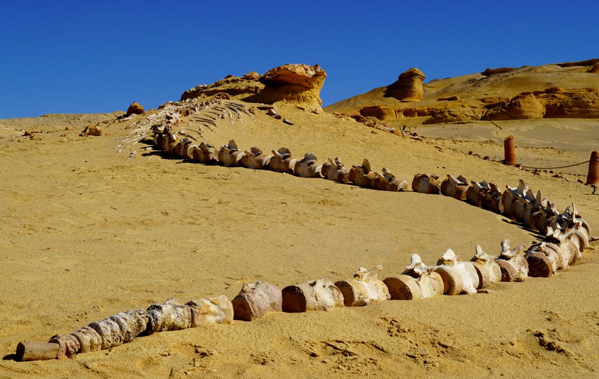 Cairo adventure tours