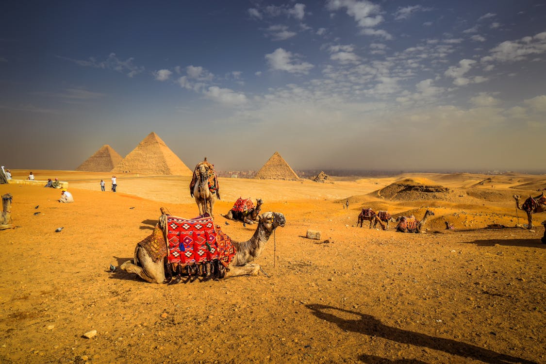 Cairo sightseeing tours