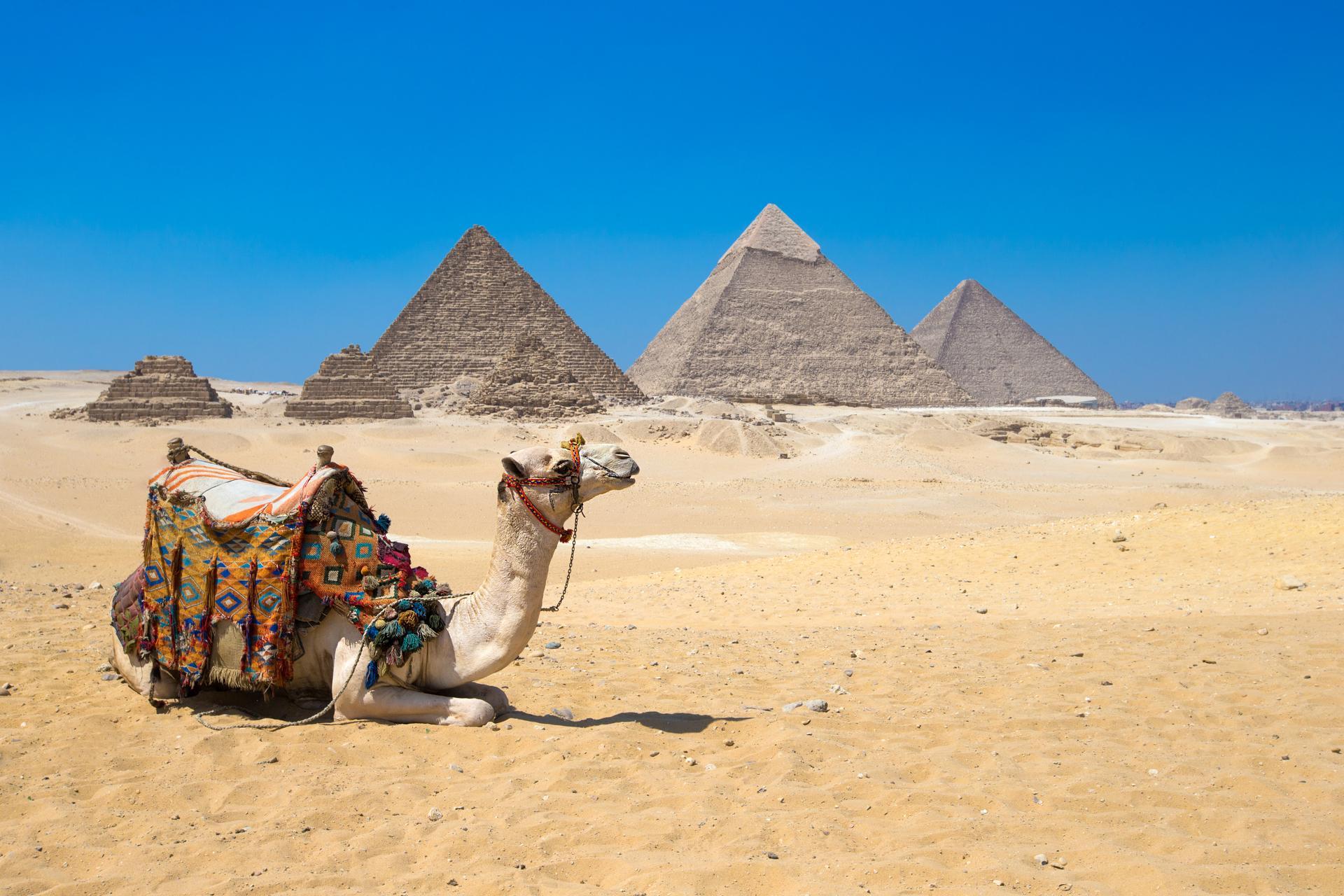 Cairo day tours