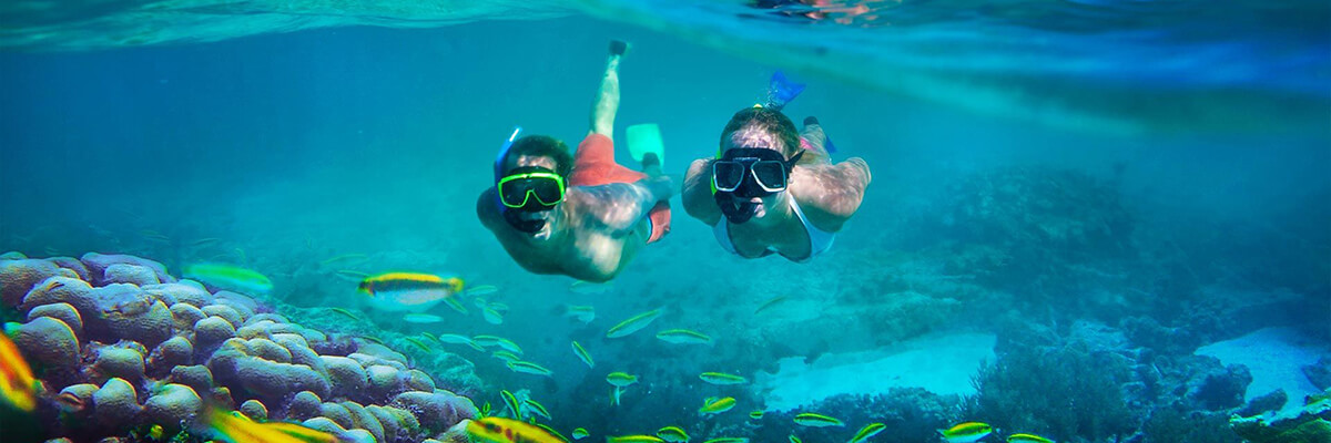 Tiran Island Snorkeling