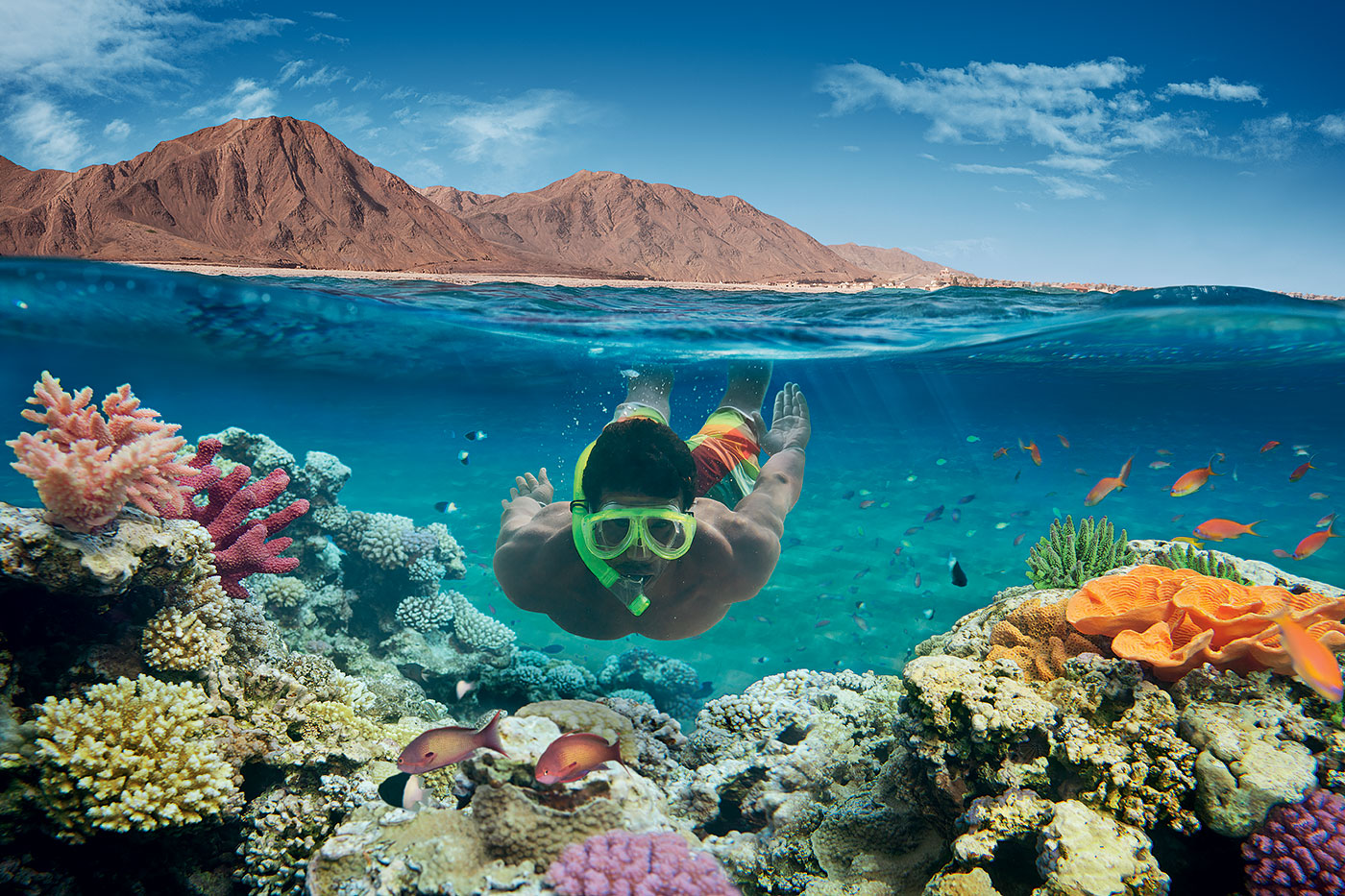 Tiran Island Snorkeling