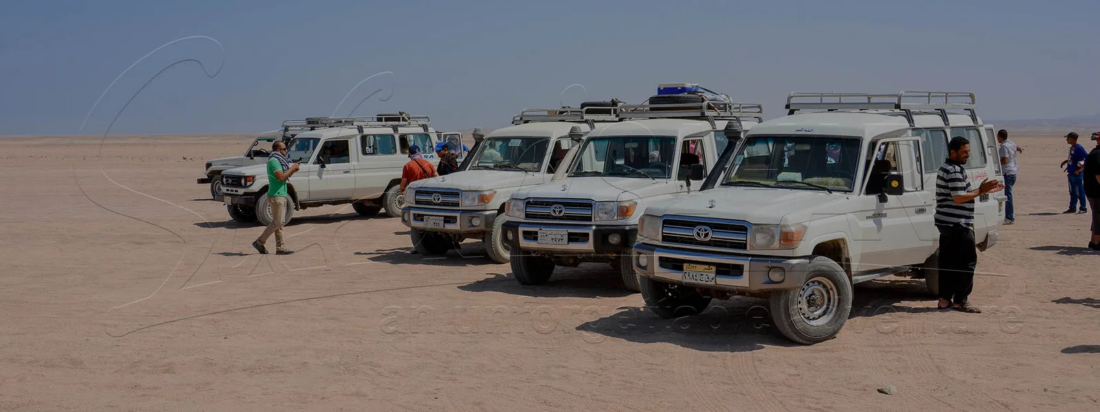 Safari tour from Safaga Port