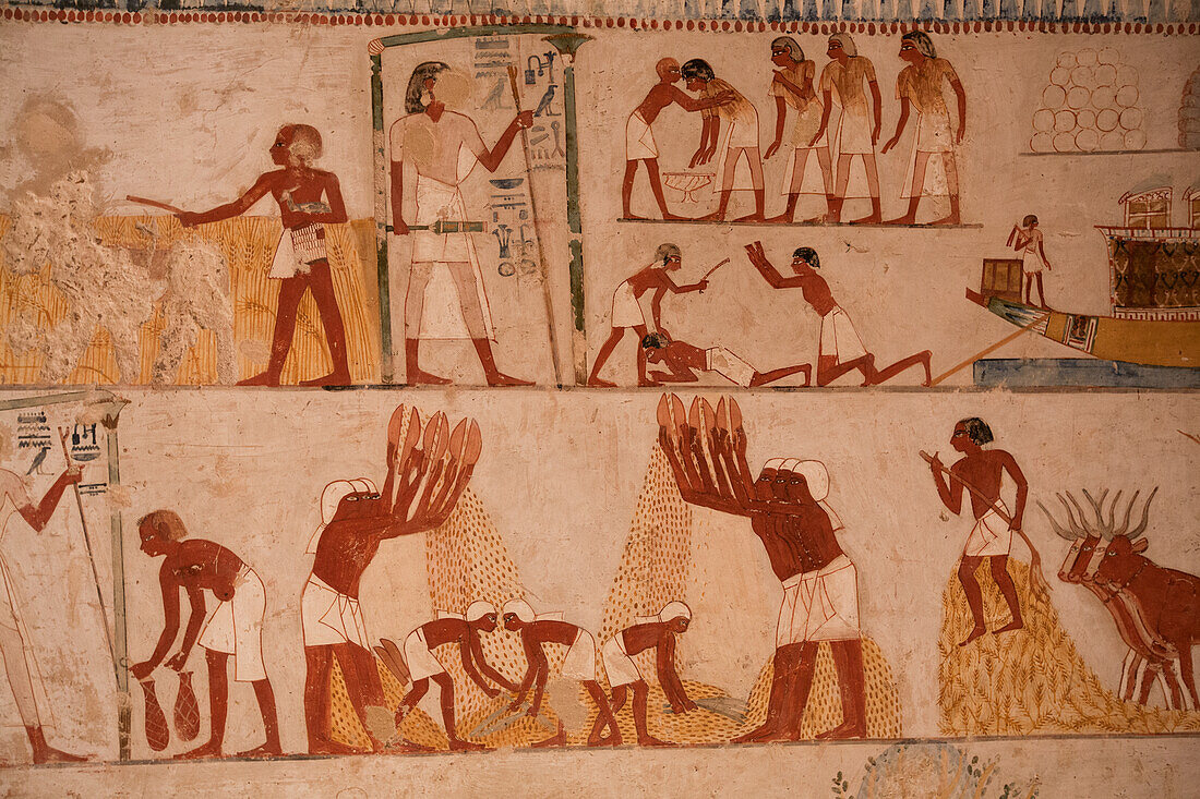 Egypt trips Egypt trips