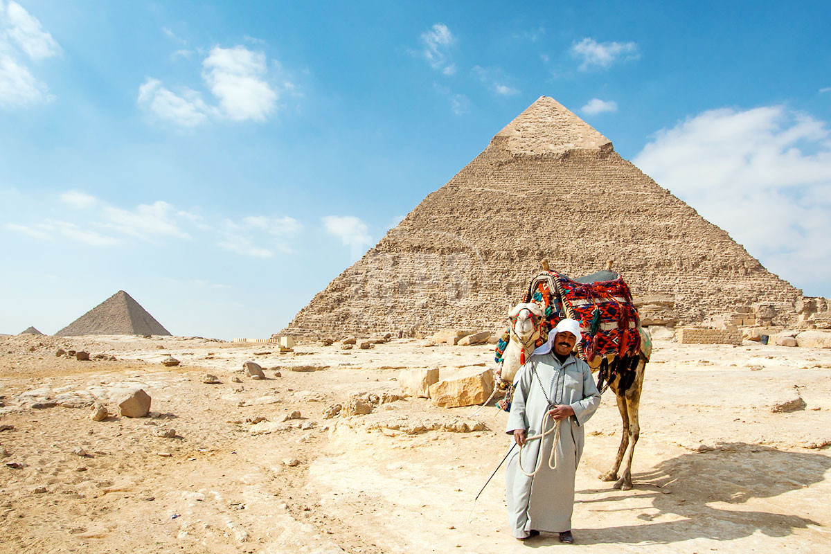 one-day tours from Alexandria