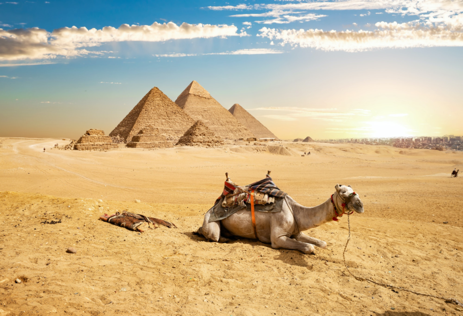 Camel Pyramids Camel Pyramids